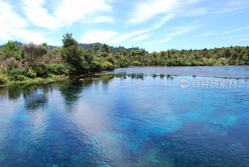 Te Waikoropupu Springs (Pupu)， Golden Bay, NZ